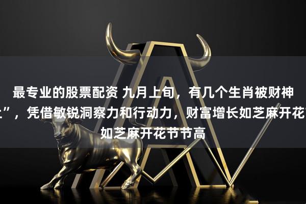最专业的股票配资 九月上旬，有几个生肖被财神 “盯上”，凭借敏锐洞察力和行动力，财富增长如芝麻开花节节高