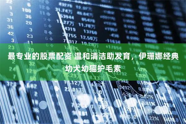 最专业的股票配资 温和清洁助发育，伊珊娜经典幼犬幼猫护毛素