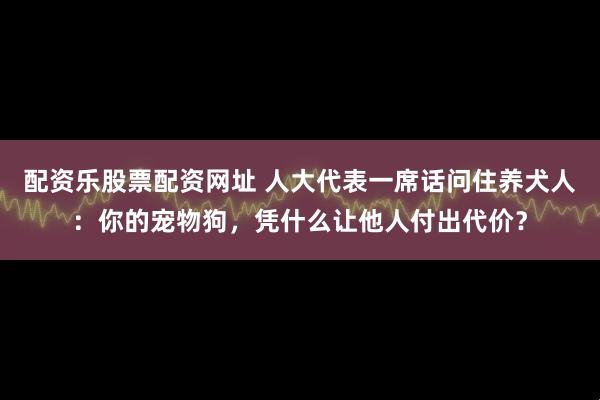 配资乐股票配资网址 人大代表一席话问住养犬人：你的宠物狗，凭什么让他人付出代价？