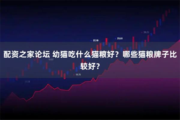 配资之家论坛 幼猫吃什么猫粮好？哪些猫粮牌子比较好？